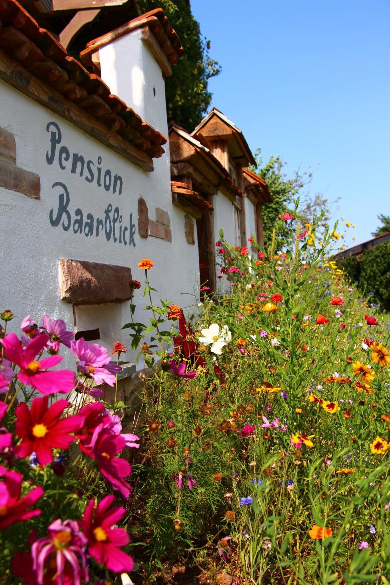 Hotel Pension Baarblick Donaueschingen Esterno foto