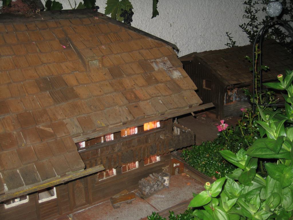 Hotel Pension Baarblick Donaueschingen Esterno foto