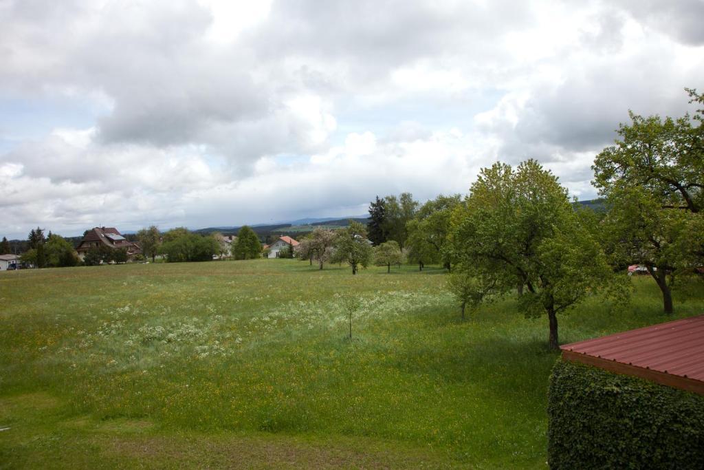 Hotel Pension Baarblick Donaueschingen Esterno foto